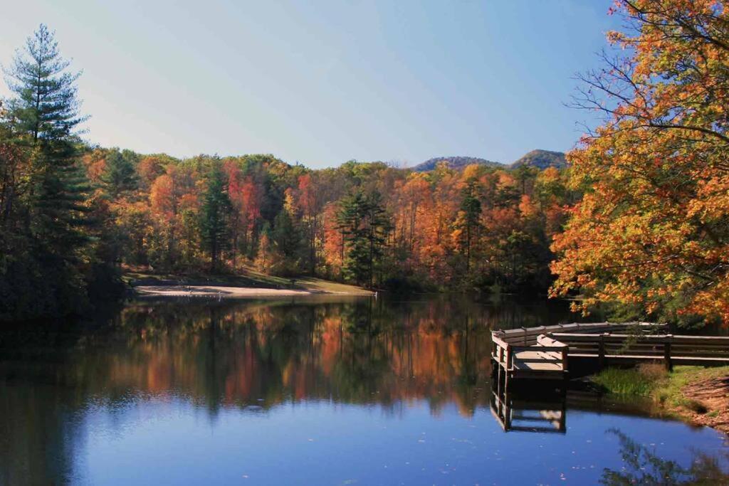 Bluebirds Nest 10 Min To Avl Biltmore Hot Tub Cont Bkfst Sparkling Water Asheville Eksteriør bilde